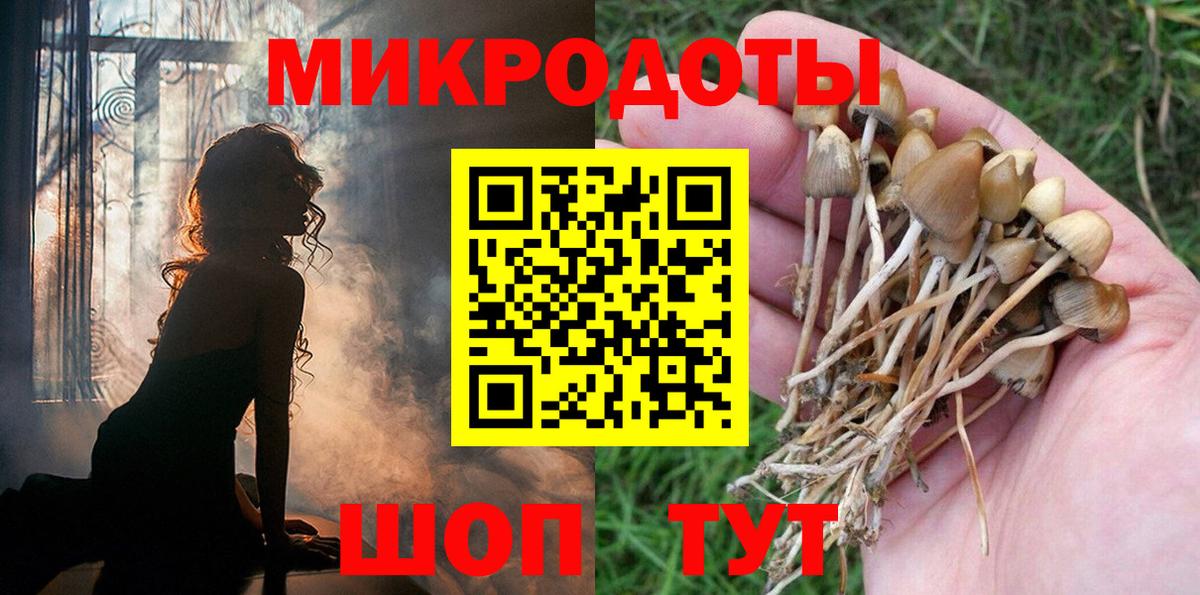 продажа наркотиков  Вход с VPN  Коломна  Галлюциногенные грибы Psilocybine cubensis 